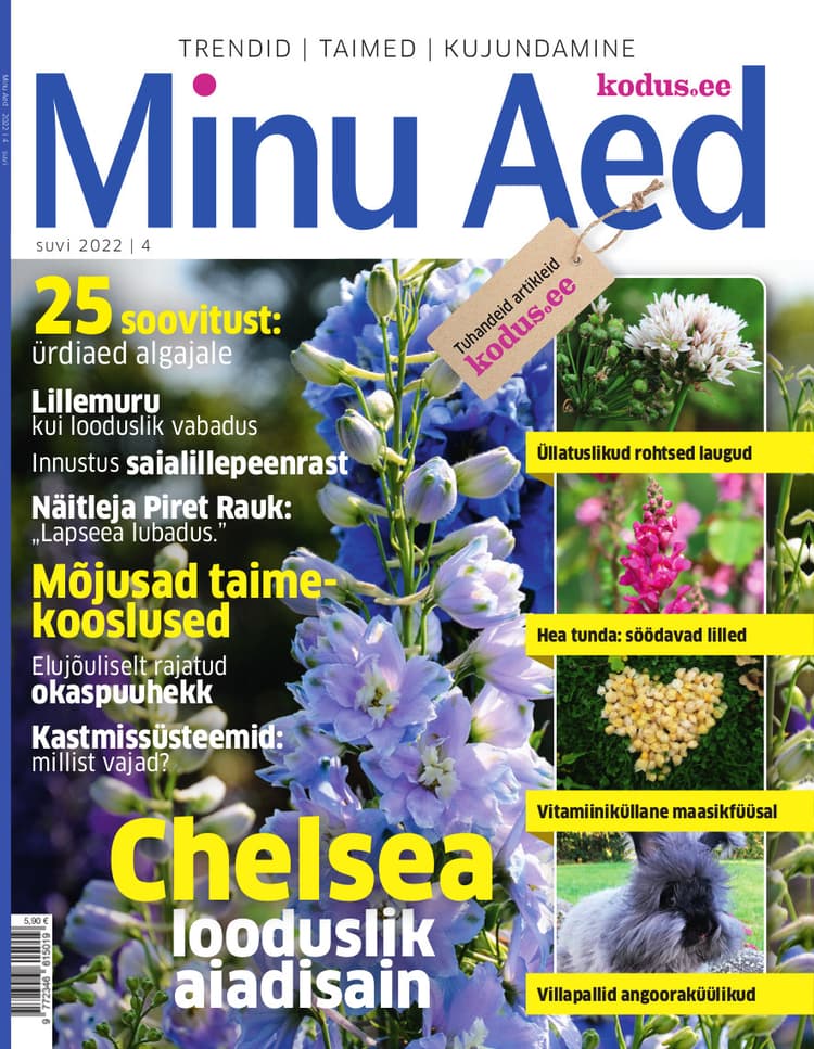 MINU AED SUVI 2022