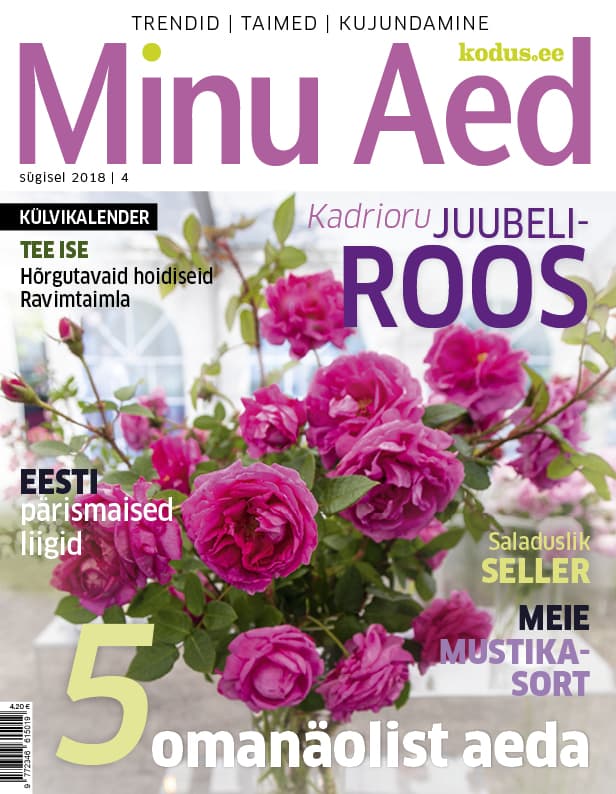 MINU AED SÜGIS 2018