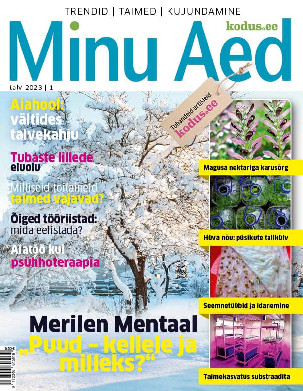 MINU AED TALV 2023