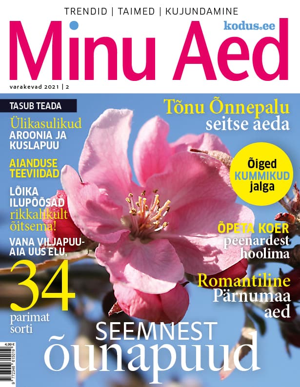 MINU AED VARAKEVAD 2021
