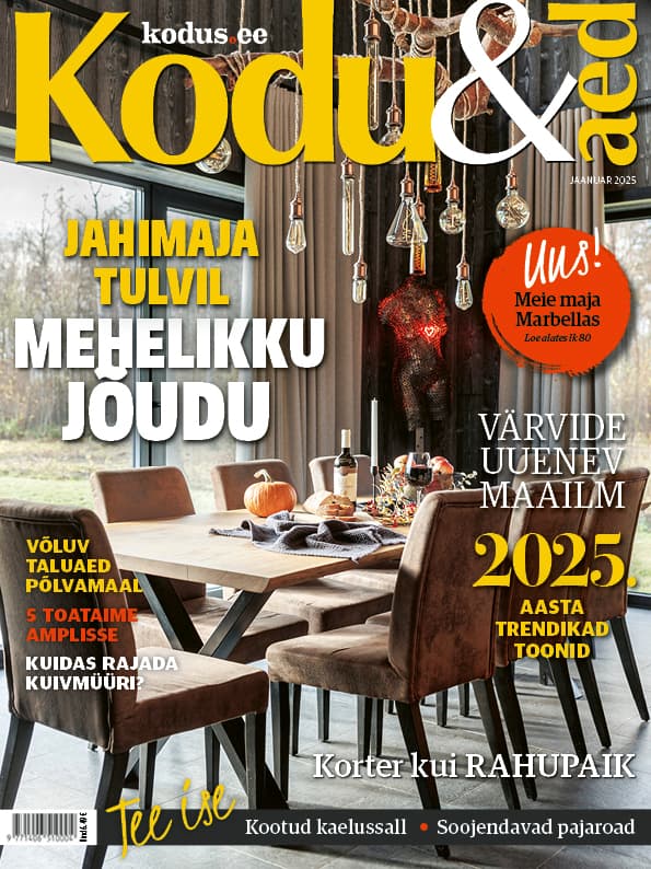 KODU & AED JAANUAR 2025