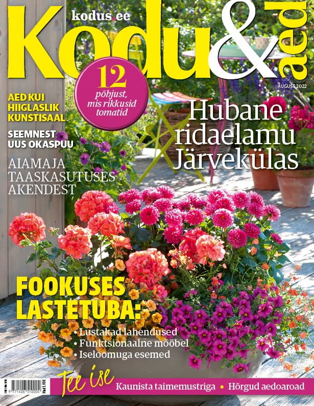 KODU & AED AUGUST 2022