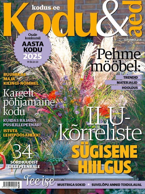 KODU & AED SEPTEMBER 2025