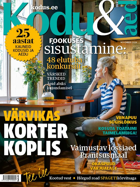 KODU & AED NOVEMBER 2024