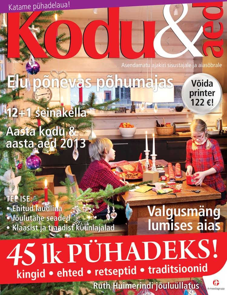 Kodu & Aed detsember 2013