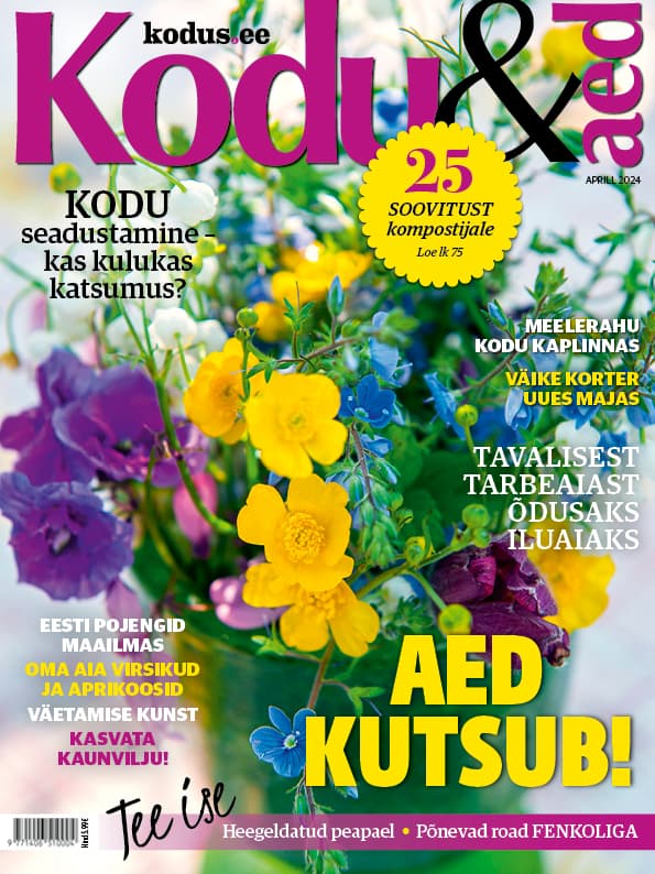 KODU & AED APRILL 2024