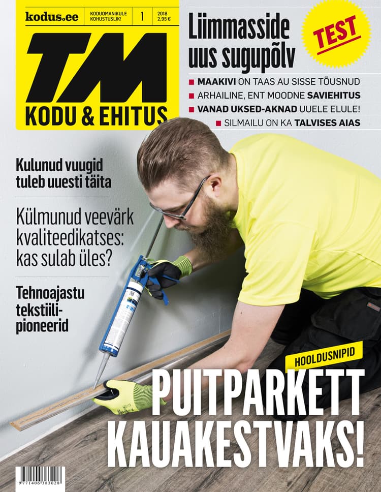 TM KODU & EHITUS JAANUAR 2018