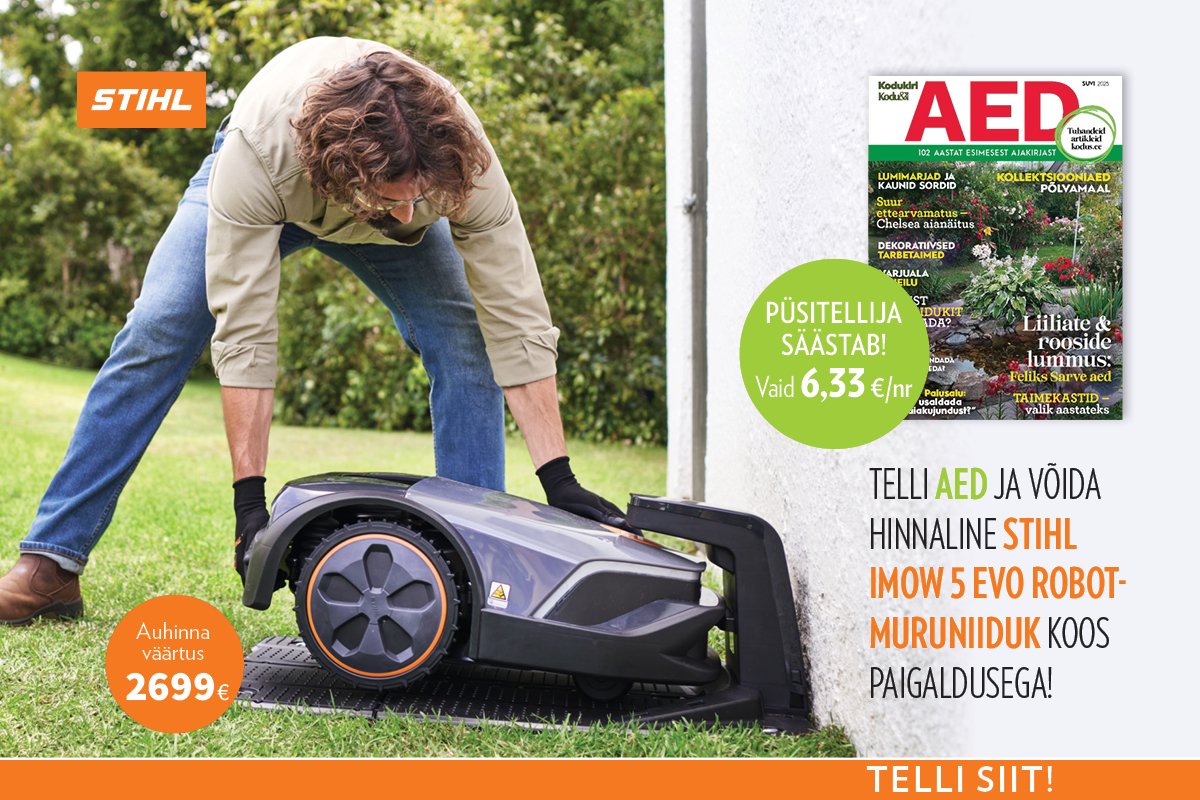 Telli Aed