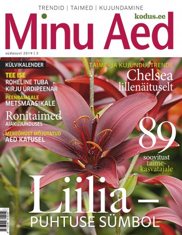 Minu Aed südasuvi 2019