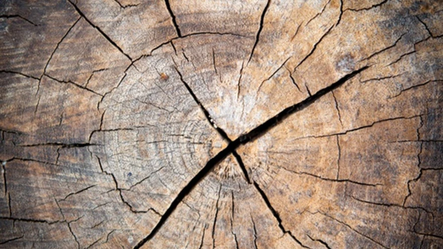 Puude lõhkumine ei pea alati olema igav ja raske. 