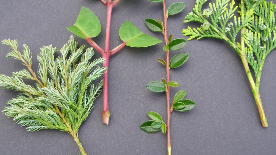 Erinevad pistoksad on ettevalmistatud. 