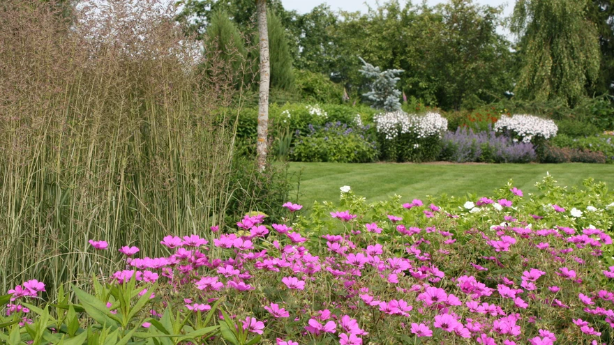 Hooldusvaba aed ei tähenda hooldamata aeda, vaid targalt kavandatud aeda. 