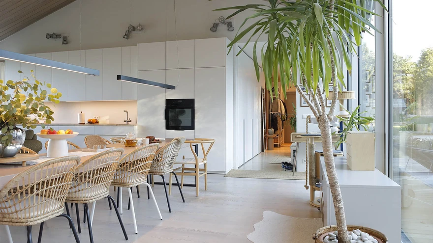 Avar elutuba, kus on on rohkelt taimi.