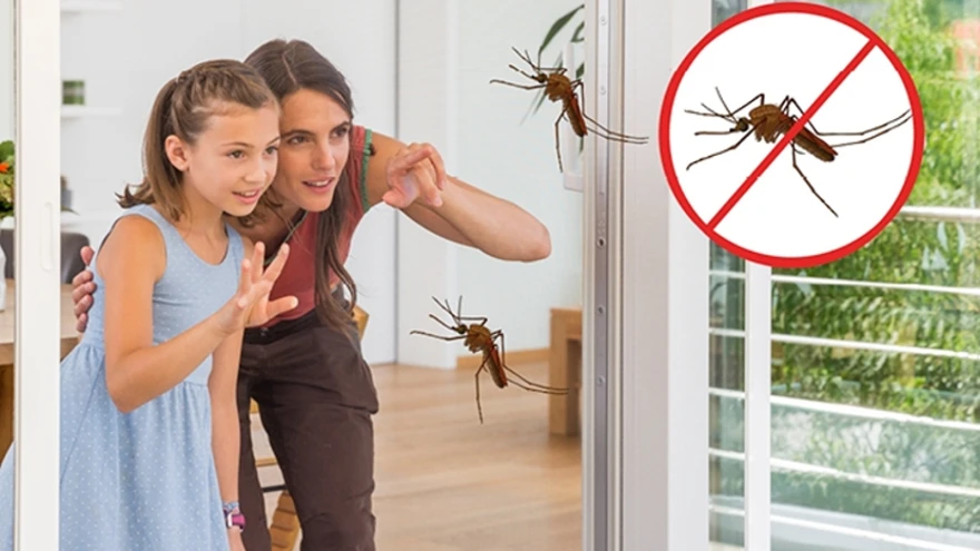 Transpatec putukavõrk praktiliselt nähtamatu nii toast kui õuest vaadates tänu patenteeritud kõrgtehnoloogilise kiule.