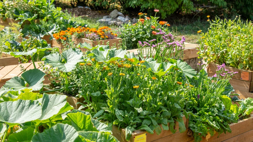 Kivilinna rajatud lopsakas oaas.