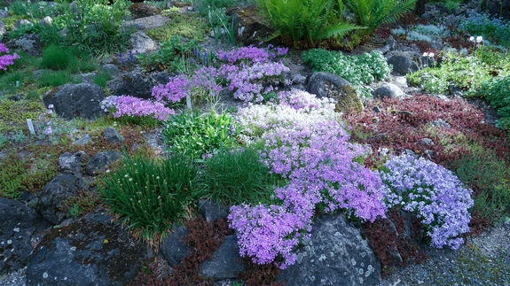 Kiviktaimla TÜ botaanikaaias