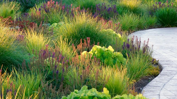 Adam Woodruff on oma tuntuimas, Jones Roadi kujunduses kasutanud kõrrelistest sügislubikat, preeria-pillaheina, austraalia hiidhirssi ja kõrgemas taimestuses harilikku perovskiat, mis on ka teemataimeks.