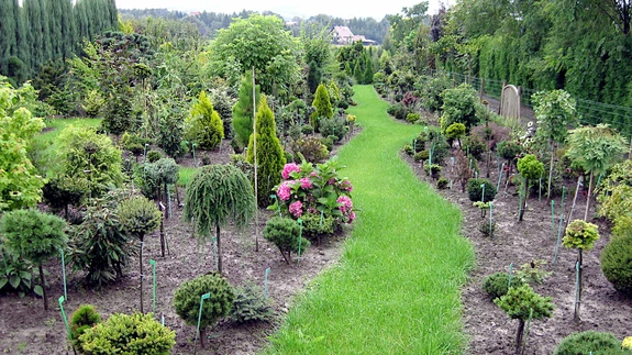 Noorukieas oli see aiaosa üsna nägus.