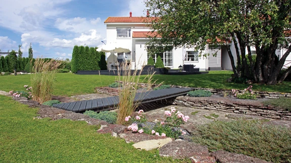 Aia eripreemia, perekond Ambur