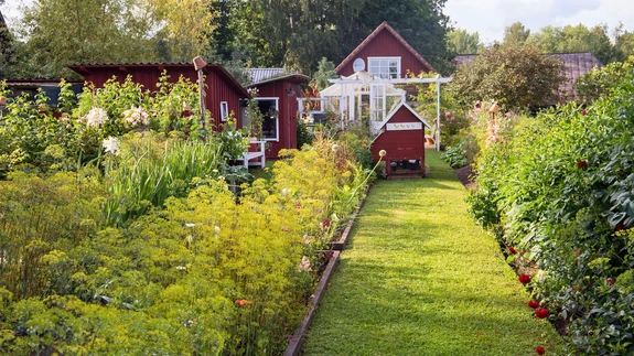 ELUJÕULINE AED sai 1000 eurot Kekkilält.