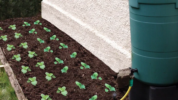 Imbvoolik veetünniga.