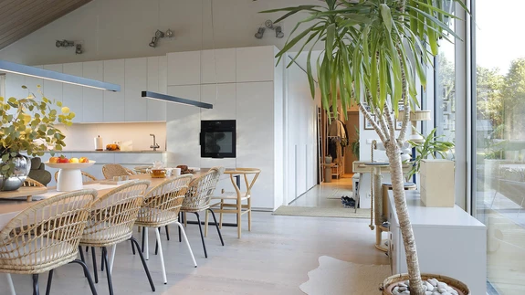 Avar elutuba, kus on on rohkelt taimi.