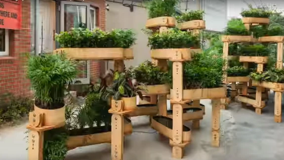 Vineerist linnaaiasüsteem toob tiheasustusega linnadesse uut hingamist.