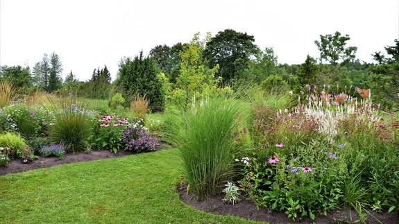 Võiduaed Kütke külas Harku vallas Harjumaal.