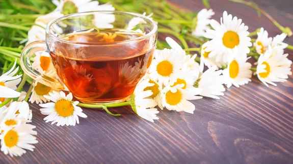 Ka taimed kasutavad teest neile vajalikku vett ja lahustunud toitaineid.