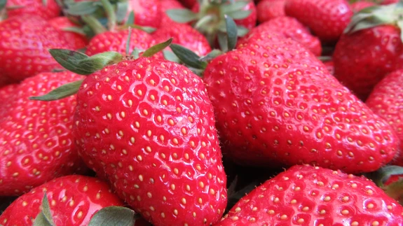 Maasikaid tahaks süüa ju aastaringselt. 