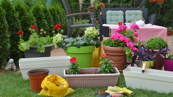 Suvine väetis ühtlustab taimede kasvu ja täiendab lämmastikuvarusid.