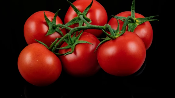 Kindlasti sõltub maitse ka antud sordi omadustest.