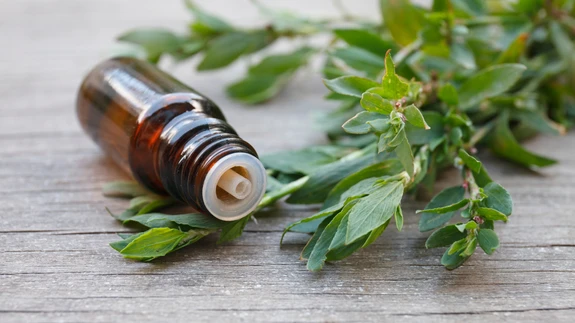 Üldjuhul me tallame looduses linnurohu maha ega tea taibatagi, et linnurohi on väärt ravimtaim.