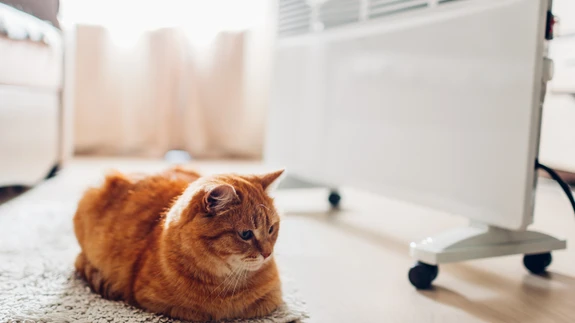 Kaasaegsed elektriradiaatorid lükkavad ümber müüdi, et nendega kütmine on kallis ja energiakulukas.