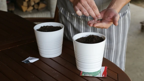 Külvinõu ei tohi olla liiga väike, sest siis kuivab muld väga kiiresti läbi.