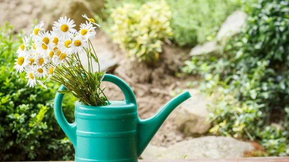 Tallinna Keskkonnaamet soovib leida inimesi, korteriühistuid ja kogukondi, kes on huvitatud tegelema linnas aiandusega.