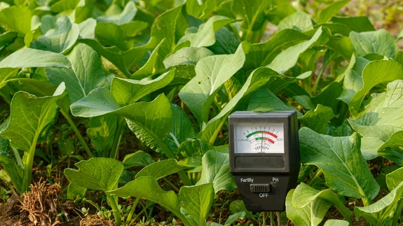 Vältimaks ebaõnnestumisi, tasub teada koduaia mulla happesust.