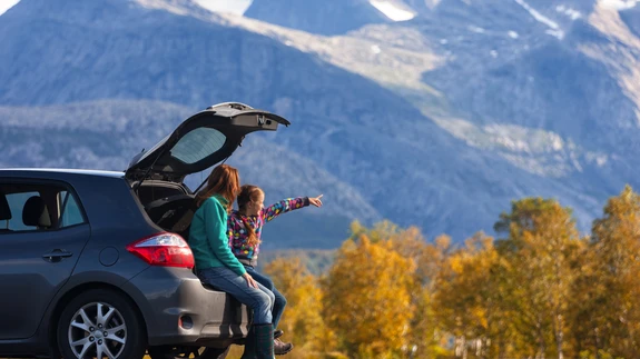 Üldiselt Euroopa riikides rohelist kaarti ei ole vaja kaasa võtta.