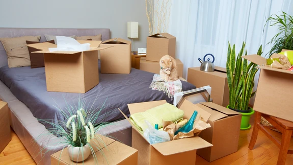 Mõtle läbi, mida kodus tegelikult vajad.