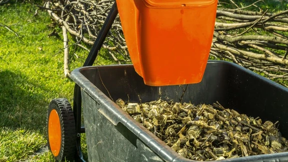 Kasulik oksapurustaja