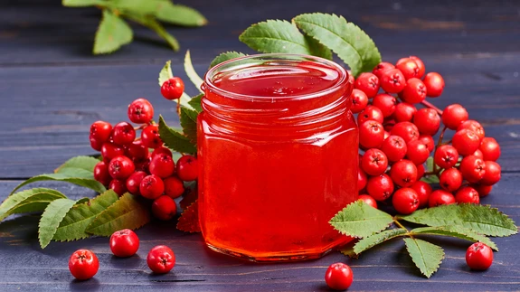 Pihlamarjade väärtuslikkus peitub neis sisalduvates vitamiinides.