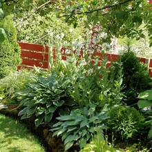 Olgugi, et õue taimestikust piisaks krundi piiritlemiseks, on madal puittara toreduse pärast.