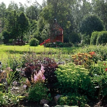 Aia eripreemia 2016, perekond Kõue