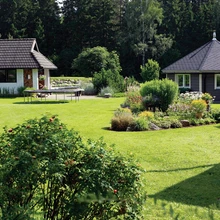 Aia eripreemia 2016, perekond Loo