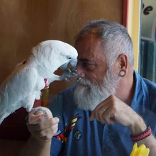 California värvikad inimesed.