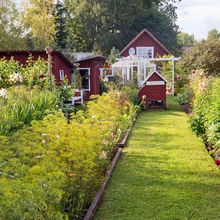 ELUJÕULINE AED sai 1000 eurot Kekkilält.