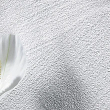 Alpina Lasur Effekt.