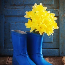 Kevadpühade meeleolu.