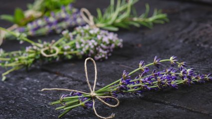 Lavendel jt kuivatatud ürdid